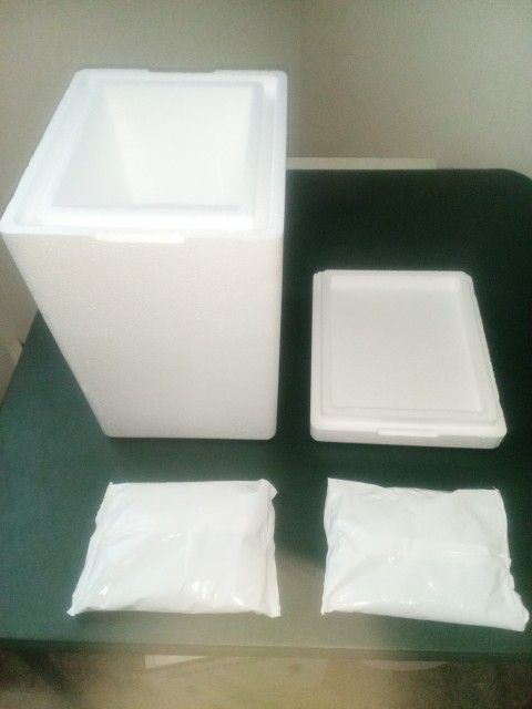New 2 -12pk Styrofoam Coolers w/2 Ice Packs In Each Cooler. 10$each  CASH