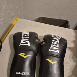 Everlasting Elite 16 Oz Training Gloves