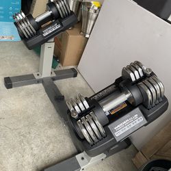 Wieder Adjustable Weights With Bench 