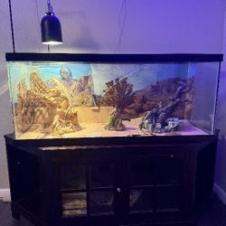 75 Gallon tank W/ Stand