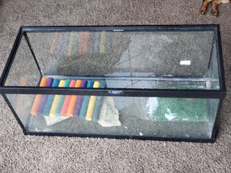Reptile tank