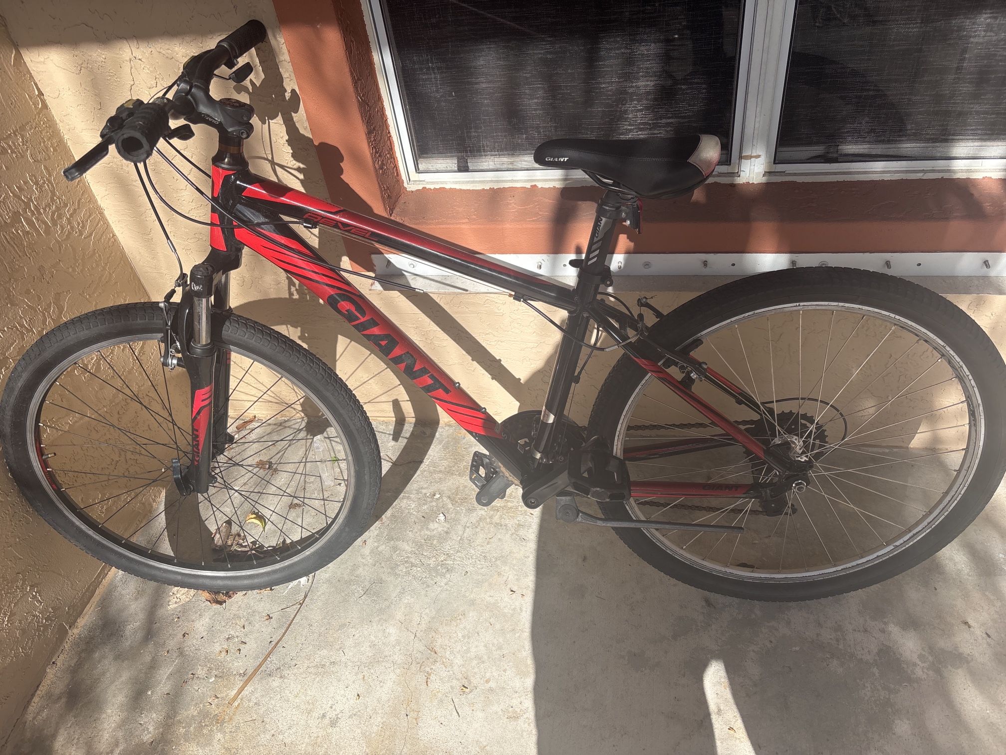 Giant Bike