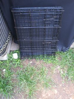 24 in dog kennel