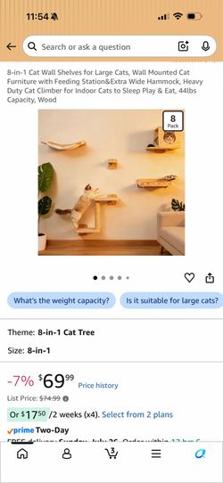 Cat wall shelf
