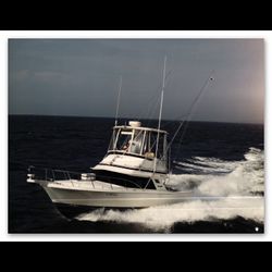 Restored 29 sport fish Blackfin boat