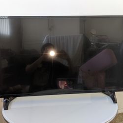 33.5in Insignia TV with Remote