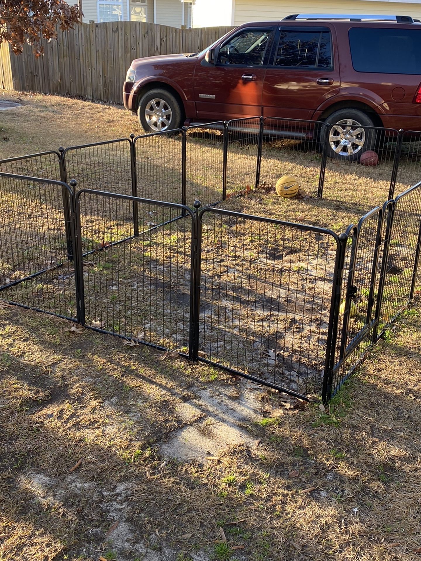 Dog Fence Only 3 Months Old