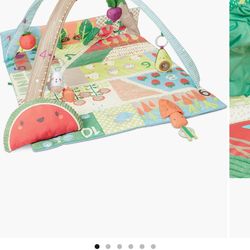 Skip Hop sGrow & Play Activity Gym