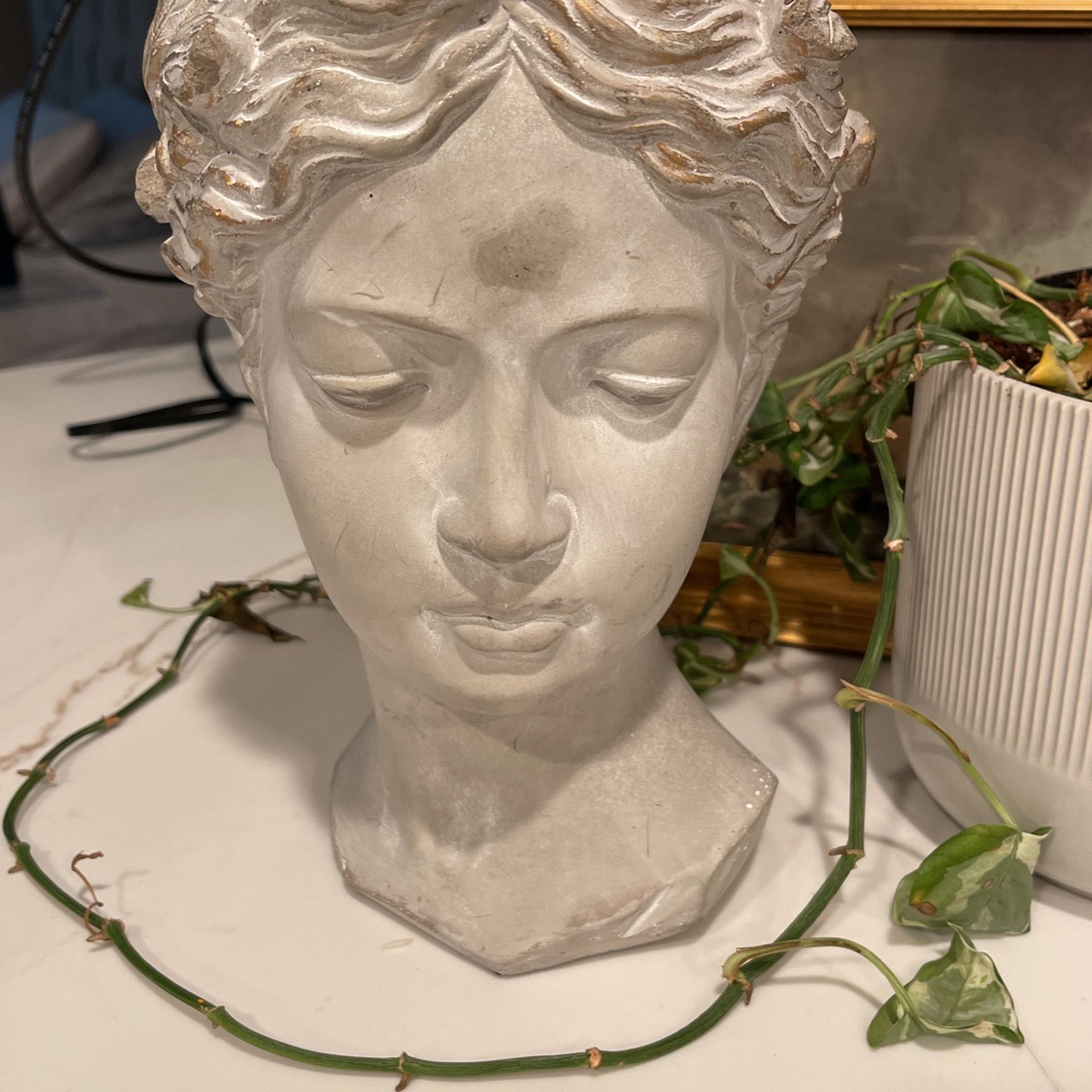 Anthropologie Glenda Bust Planter for Sale in Seattle, WA OfferUp