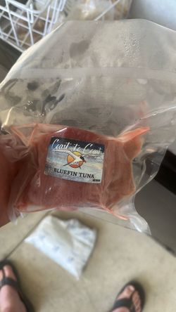 Bluefin Tuna