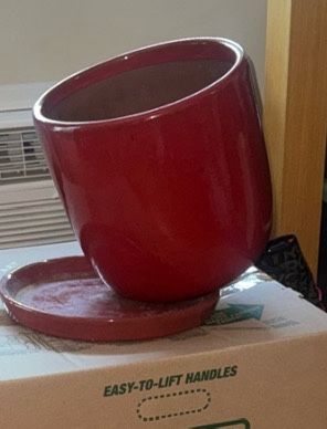 Set of 3 High-Quality Ceramic Planters