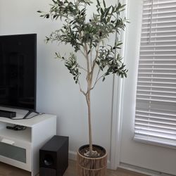 6ft Artificial Olive Tree With Vase