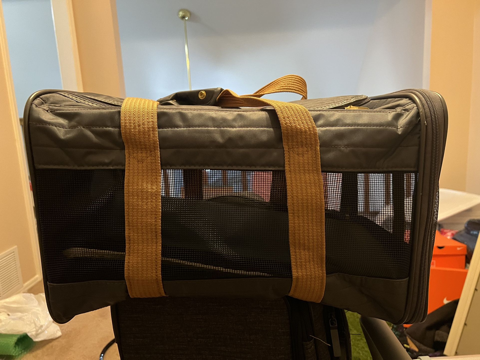 Soft-Sided Pet Carrier / Travel Carrier - Excellent Condition
