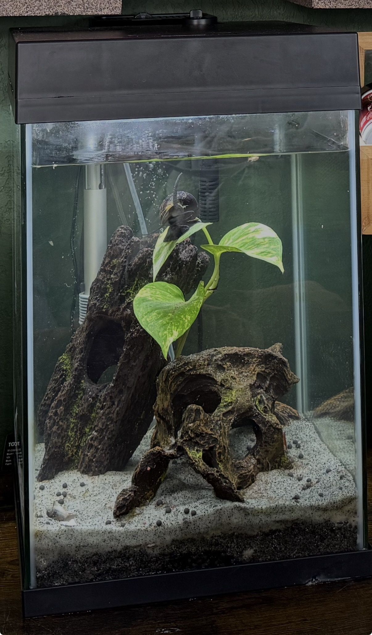 Fish Tank