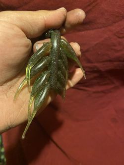 Black and green shad Lures.