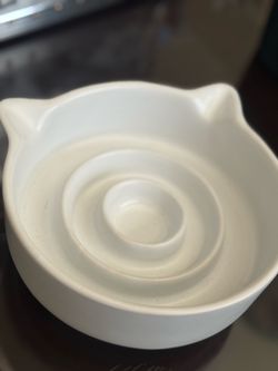 Elevated Slow Feeder Cat Bowl