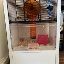 Hamster Cage