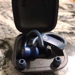 Apple Beats Earphone