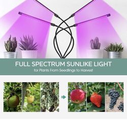 LED Grow Light/Firm Price