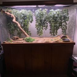 Tank And Stand 