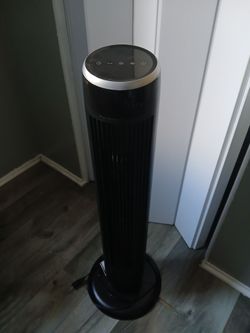 Fan