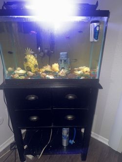 20 Gallon Fish Tank And Stan