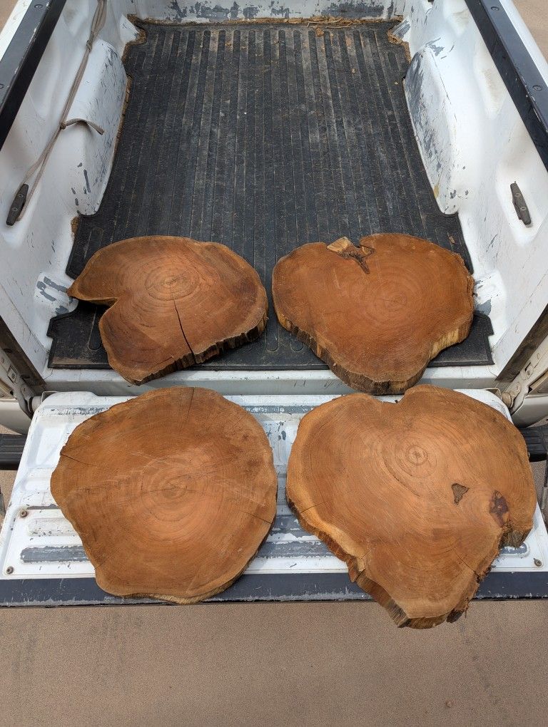 Rustic Wood Rounds - Mesquite