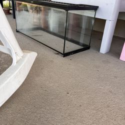 5, 10 And 40 Gallon Fish Tank 