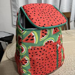 Cooler Backpack 