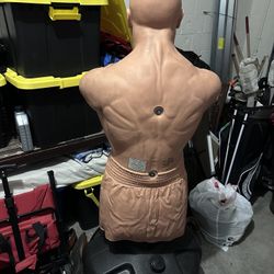 Century BOB XL Torso