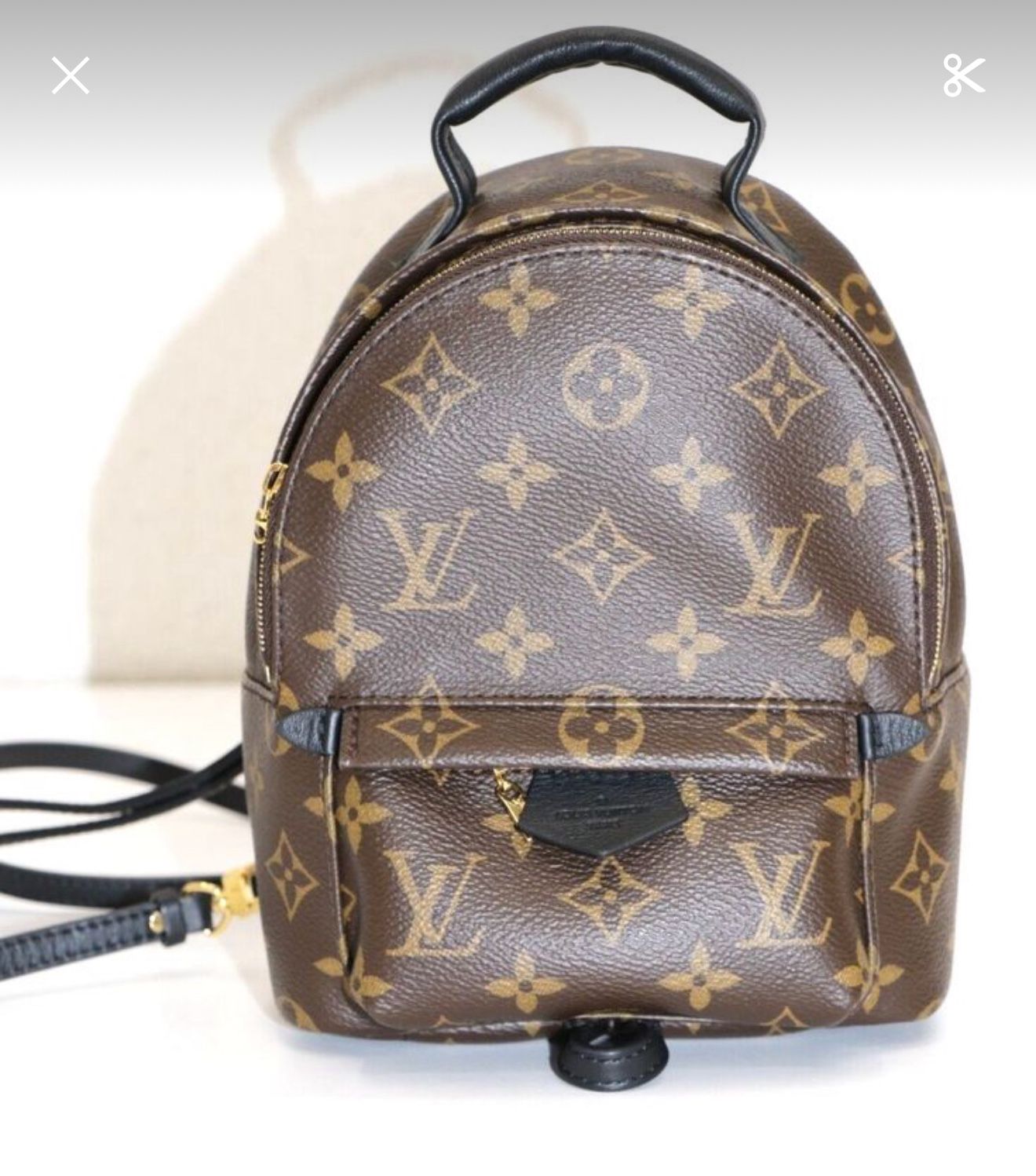 Louis Vuitton Monogram Canvas Mini Palm Springs Backpack