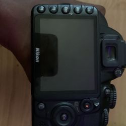 nikon d3100