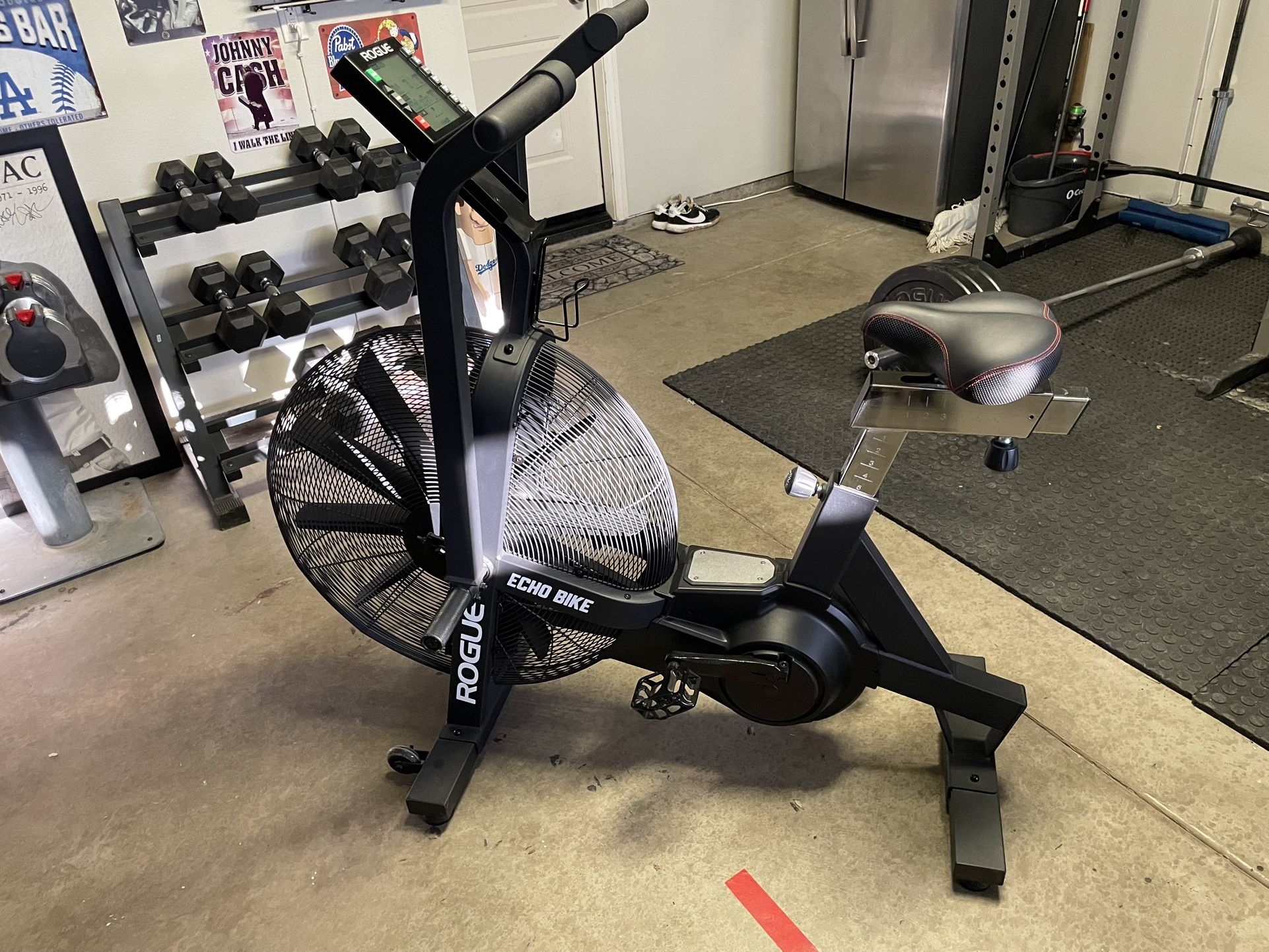 Rogue Echo Bike