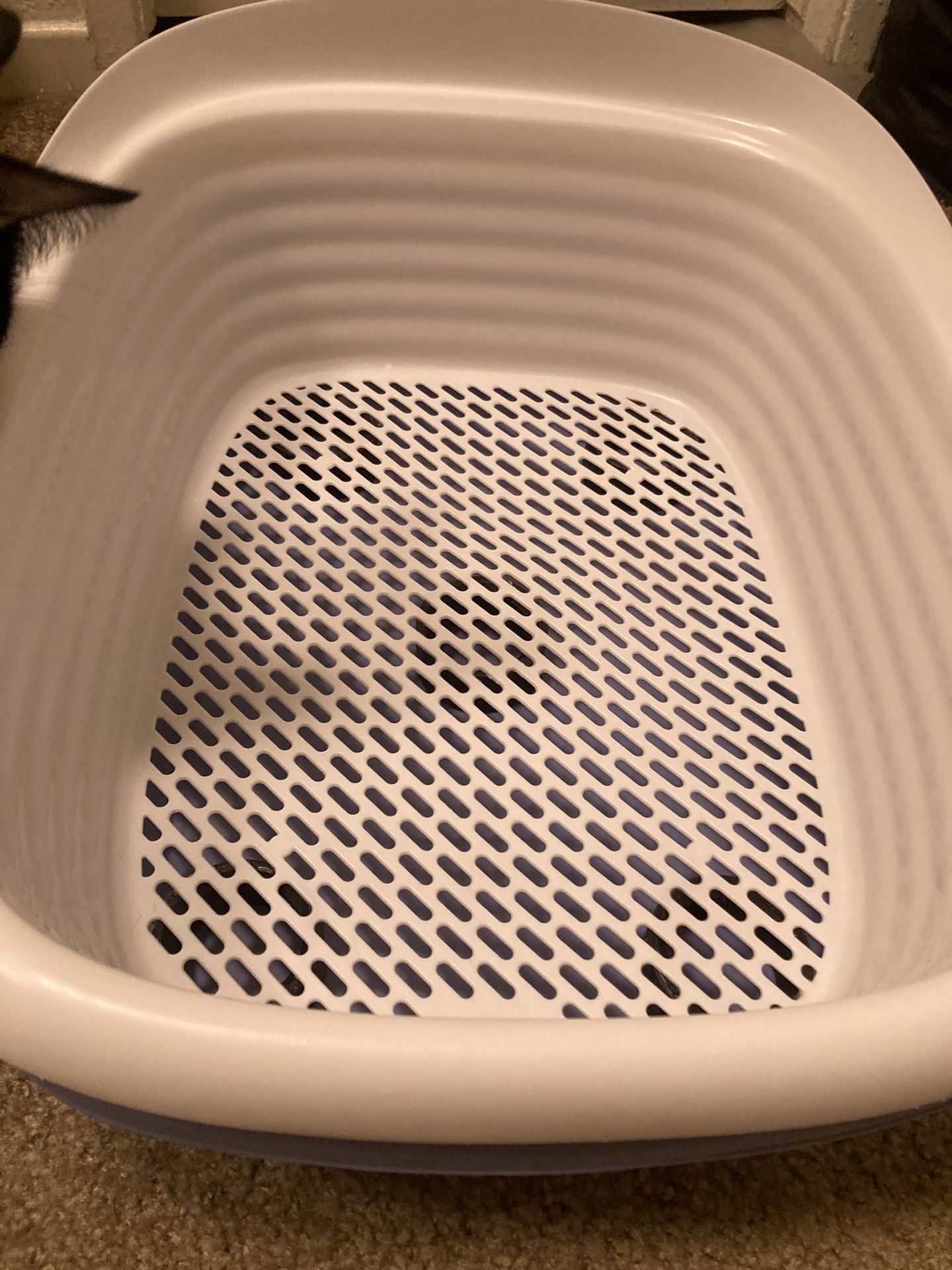 Sifting Litter Box