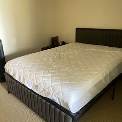 Padded Queen Bedframe with Headboard