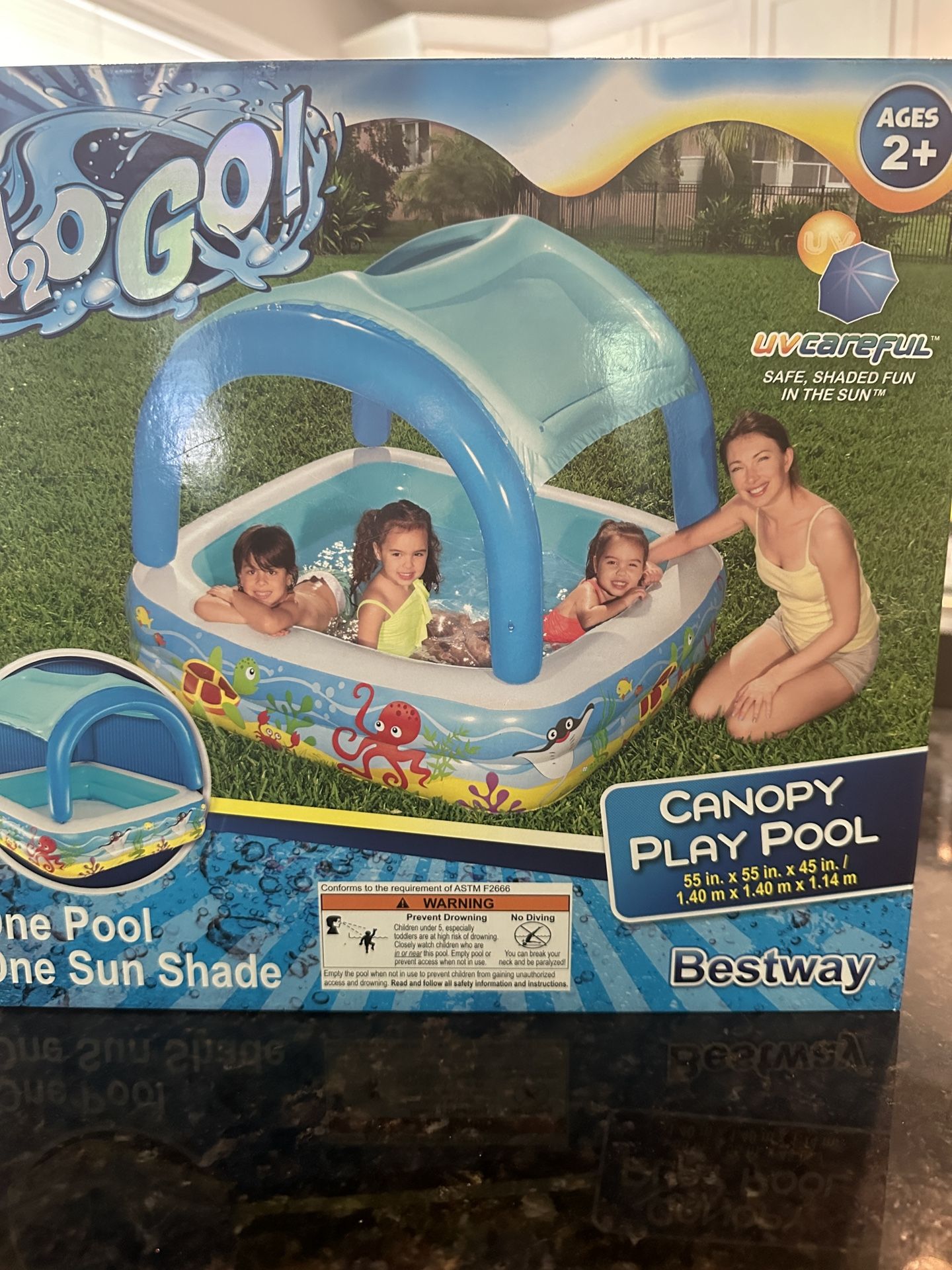 Inflatable Pool With Canopy Shade