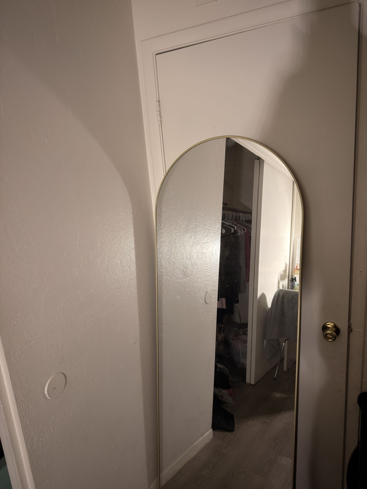 Tall Ovel Mirror