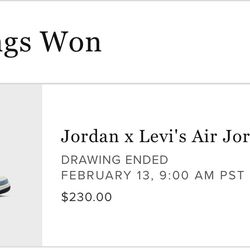 Jordan Levi 3s Size 14