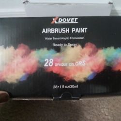 Airbrush Gun And Paint 