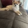 Julie