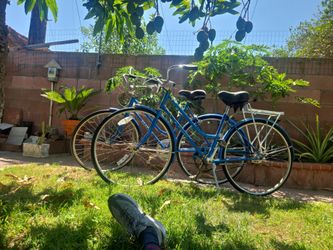 2 Vintage schwinn suburban
