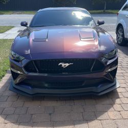 2019 Ford Mustang