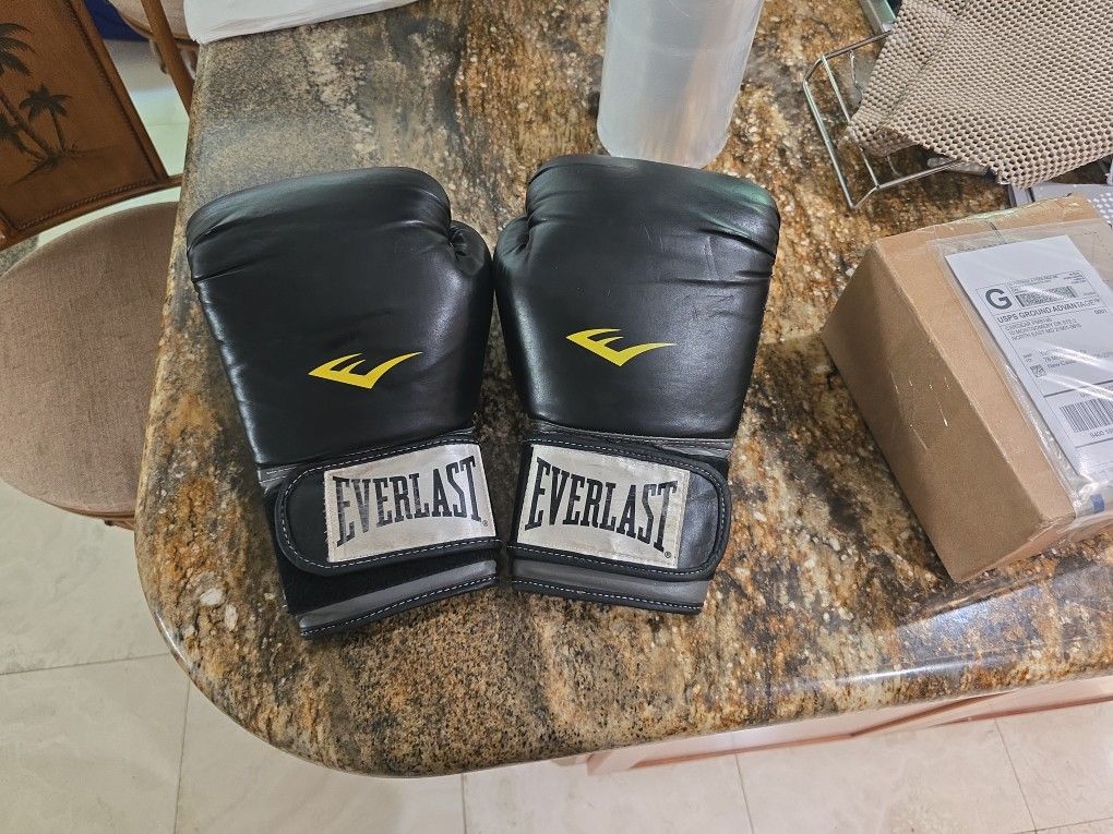 Everlast 16oz Boxing Gloves