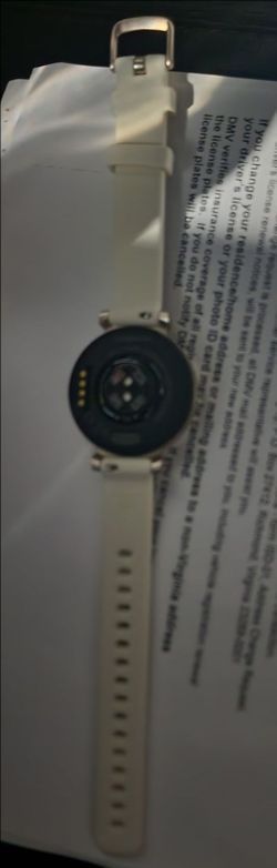 Garmin Llly 2