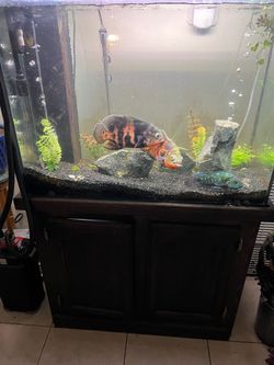 Large Fish Tank Aquarium with Stand
