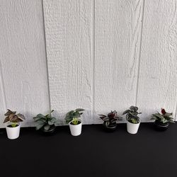 6 artificial potted plants Set