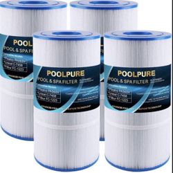POOLPURE Replacement for Pool Filter