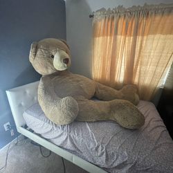 Giant Teddy Bear