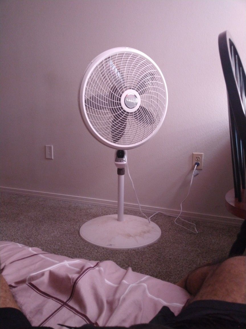 Lasko Fan