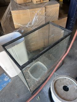 Aquarium Tanks 